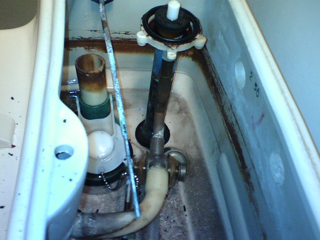 Name:  Werner Toilet 4.jpg
Views: 420
Size:  82.8 KB