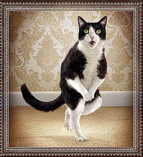 Name:  litter-box-problems.jpg
Views: 113
Size:  26.7 KB