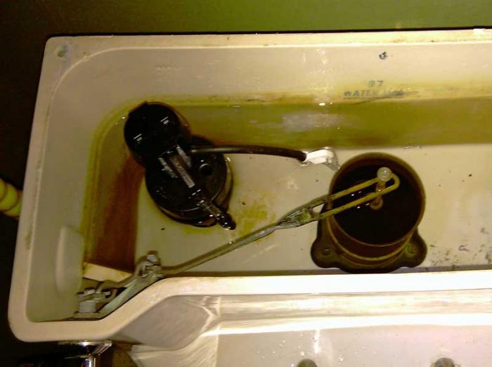 Name:  noel_old_toilet_tank.jpg
Views: 1990
Size:  37.4 KB