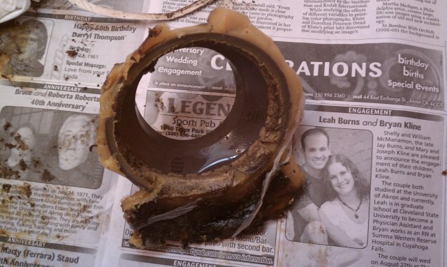 Name:  old ring.jpg
Views: 781
Size:  71.6 KB