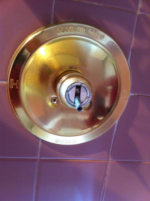 Name:  shower.jpg
Views: 306
Size:  56.3 KB