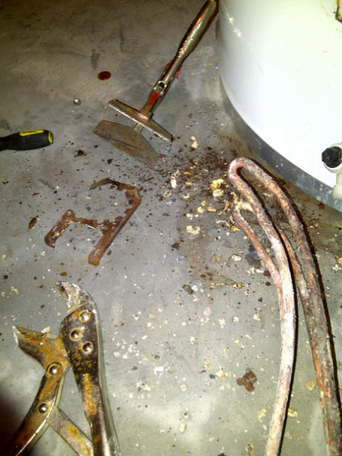 Name:  IMG-20110823-00274.jpg
Views: 191
Size:  78.9 KB