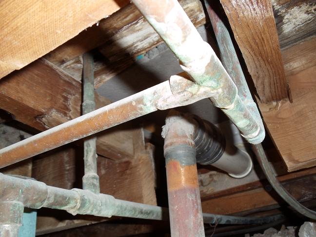 Name:  Shower Trap Connection.JPG
Views: 261
Size:  74.5 KB