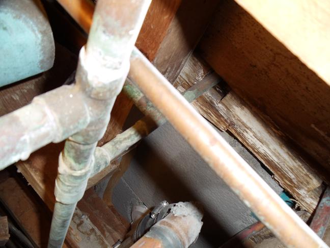 Name:  Shower Trap Connection 3.JPG
Views: 270
Size:  64.2 KB