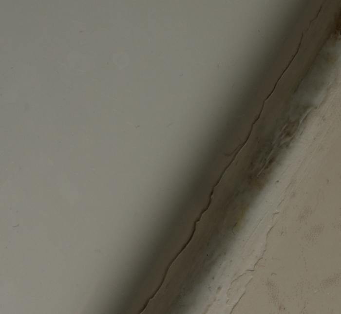 Name:  peeloff2.jpg
Views: 420
Size:  17.3 KB