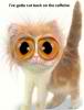 Name:  Cat.jpg
Views: 109
Size:  1.9 KB