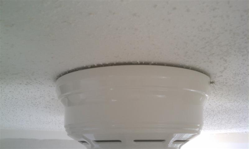 Name:  IMAG0943 (Medium).jpg
Views: 304
Size:  45.7 KB