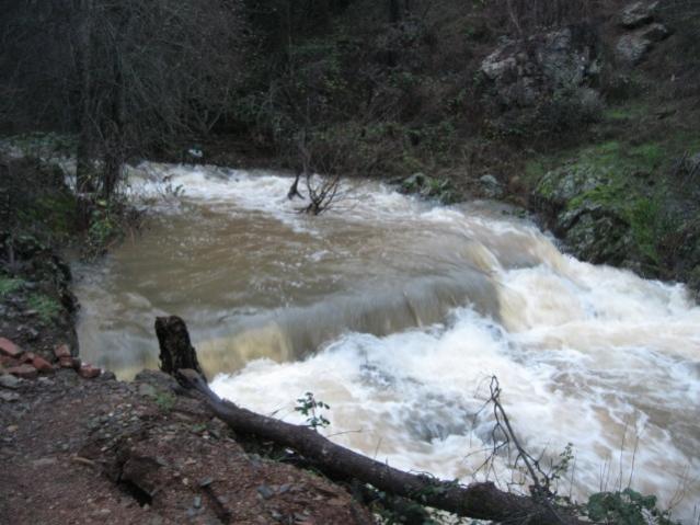 Name:  low size streambed.jpg
Views: 198
Size:  48.0 KB