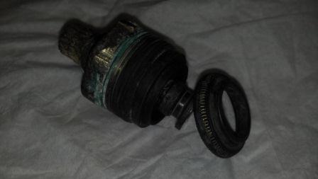 Name:  Martin's mystery stem.jpg
Views: 138
Size:  18.6 KB