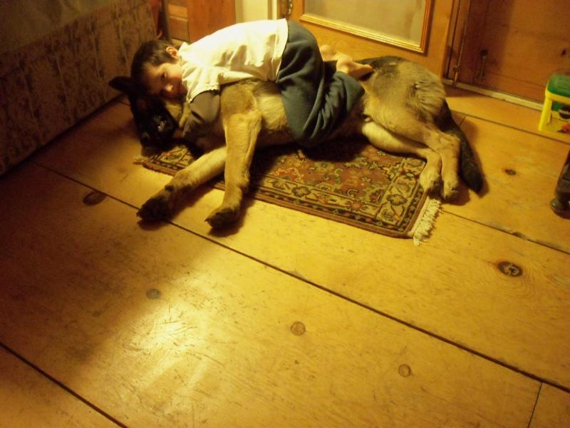 Name:  neighborhood 12-12-12 224.jpg
Views: 122
Size:  60.9 KB