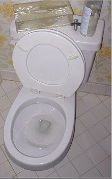 Name:  Old_toilet3.jpg
Views: 122
Size:  13.7 KB