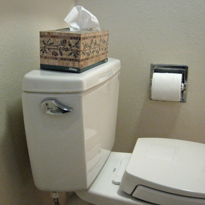 Name:  toilet_paper.jpg
Views: 828
Size:  57.3 KB