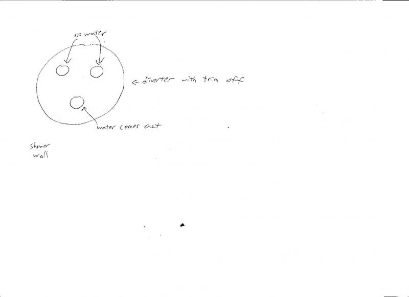 Name:  Diverter.jpg
Views: 86
Size:  15.9 KB