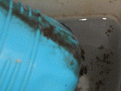 Name:  Toiklet1_G.gif
Views: 112
Size:  20.1 KB