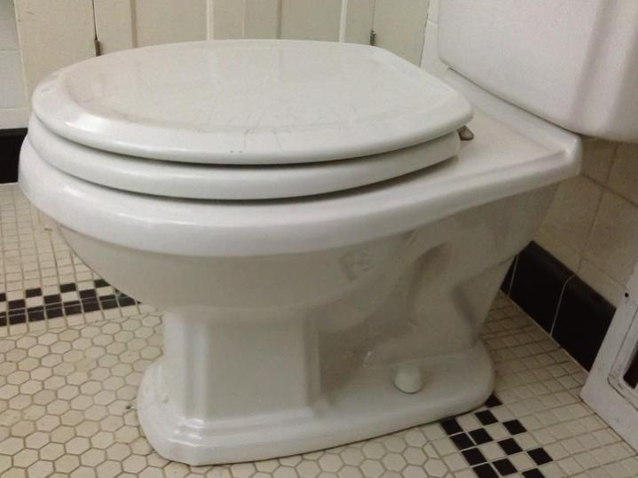 Name:  Toilet-1.jpg
Views: 150
Size:  34.9 KB