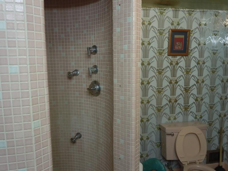 Name:  shower .jpg
Views: 147
Size:  64.6 KB