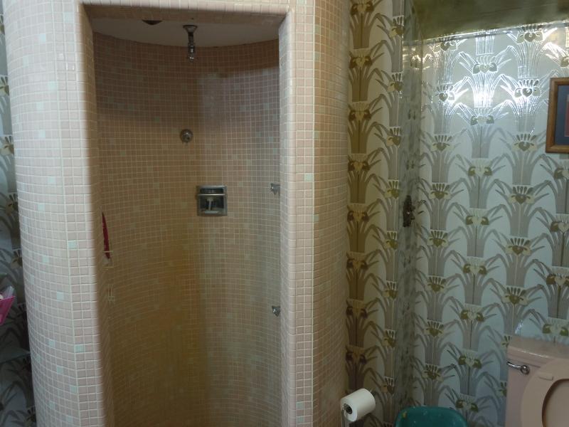 Name:  shower1.jpg
Views: 161
Size:  63.3 KB