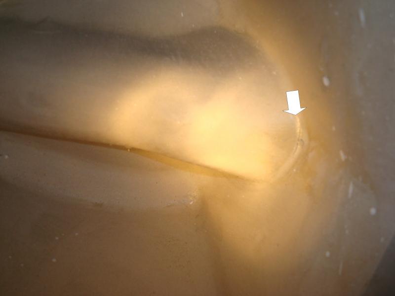 Name:  DSC06171.jpg
Views: 125
Size:  23.4 KB