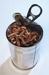 Name:  Can_Of_Worms.jpg
Views: 75
Size:  6.1 KB