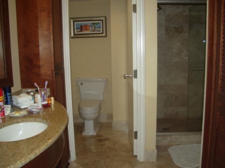 Name:  toilet.jpg
Views: 83
Size:  17.1 KB