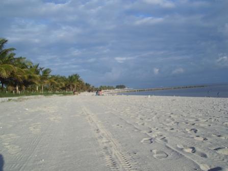 Name:  beach.jpg
Views: 130
Size:  17.1 KB