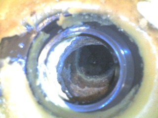 Name:  Close up.jpg
Views: 188
Size:  19.1 KB