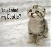 Name:  cookie.jpg
Views: 130
Size:  3.1 KB