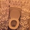 Toilet_dude