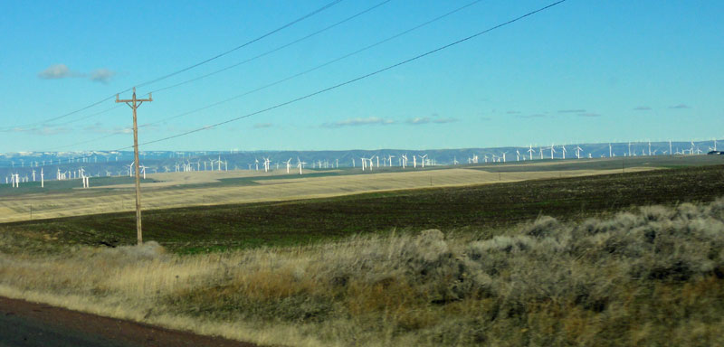 windmills-01.jpg