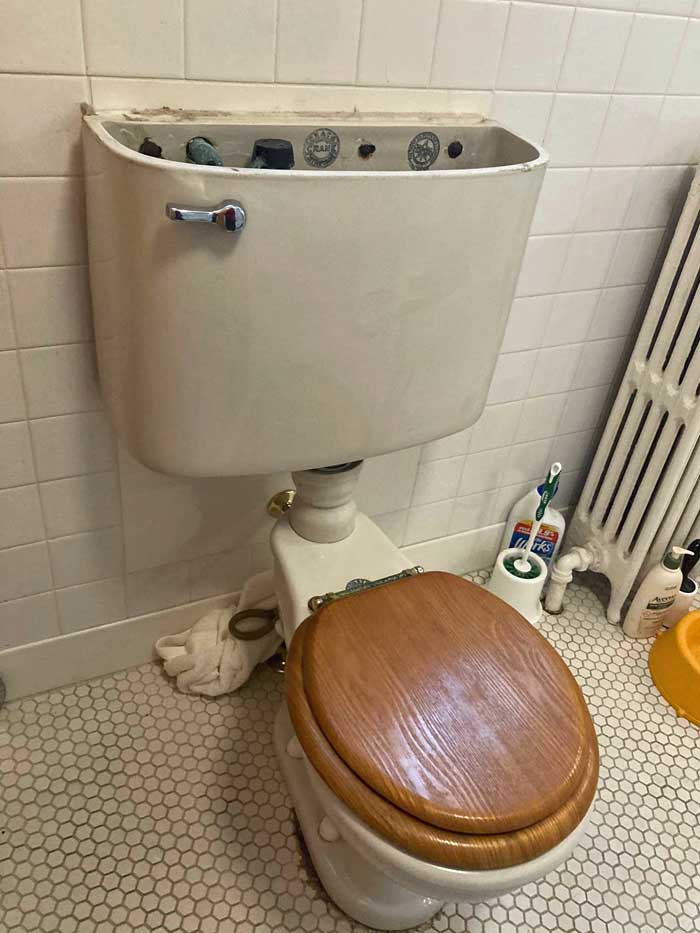 crane-toilet-with-wood-seat.jpg