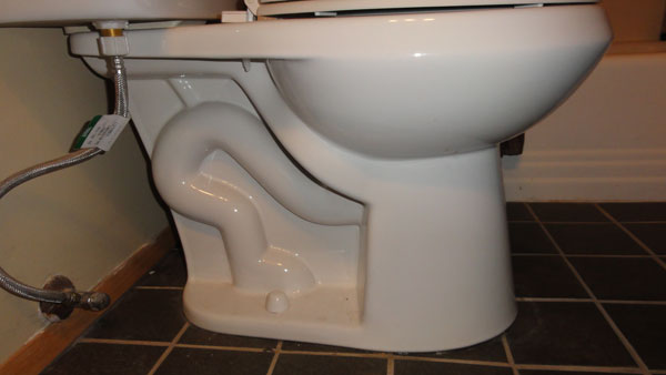 Where can you buy a Glacier Bay toilet?