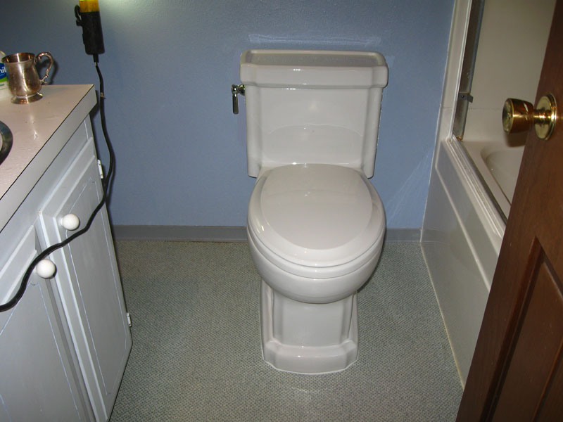 Backtoback toilet installation Terry Love Plumbing & Remodel DIY