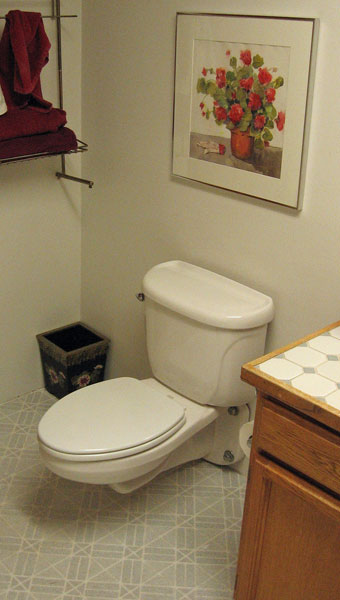 Glenwall toilet reviews and