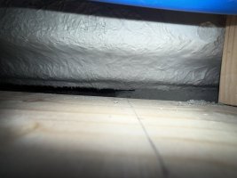 IMG_1024.jpeg