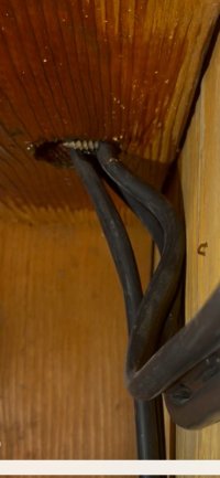 IMG_0918.jpeg