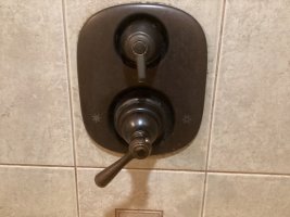 IMG_7710.jpeg
