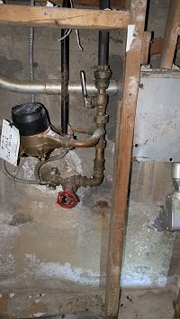 PXL_20250808_165430666 (1).jpg