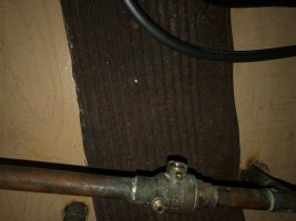IMG_6223.jpeg