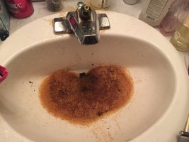 image-3796953540 (1).jpg