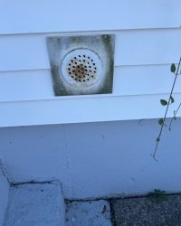 Untitled design - 4.jpeg