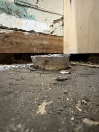 IMG_1537.jpeg