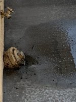 IMG_6396.jpg
