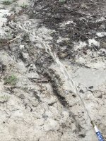IMG_0951.jpeg