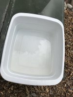 IMG_0955.jpeg