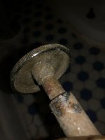 IMG_4568.jpg