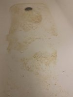 IMG_0863.jpg