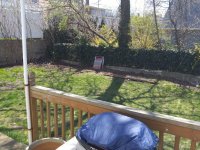 backyard1.jpg