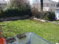 backyard2.jpg