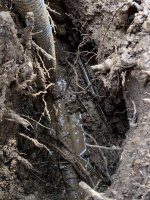 IMG_1743.jpeg