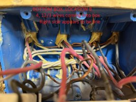 IMG_5590.JPEG